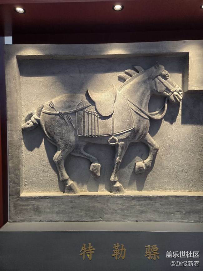 【貞觀鑒線下攝影活動】+線下攝影活動回顧貼