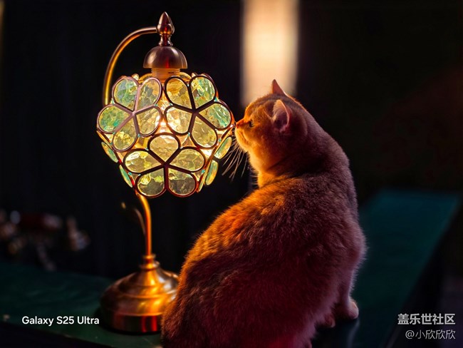 廈門星部落一杯beauty線下攝影活動