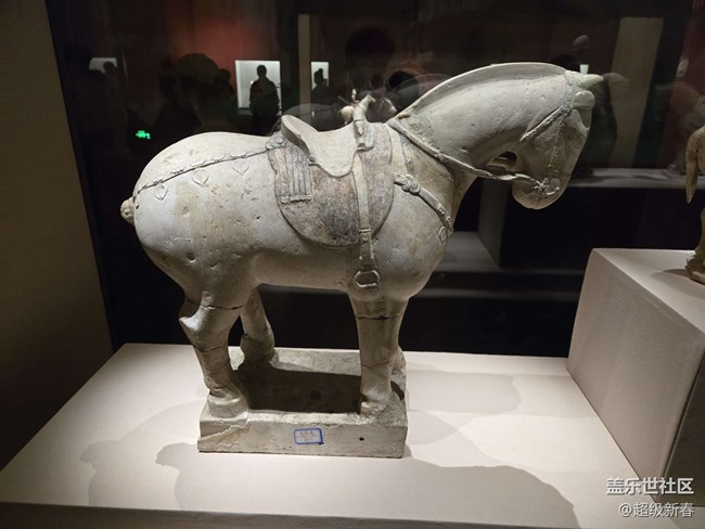 【貞觀鑒線下攝影活動】+線下攝影活動回顧貼