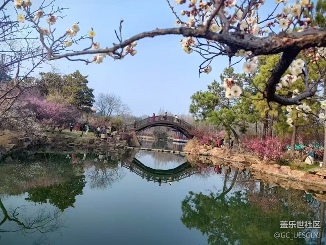 【廣州的花花們】+邂逅梅園詩(shī)意