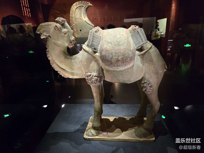 【貞觀鑒線下攝影活動】+線下攝影活動回顧貼