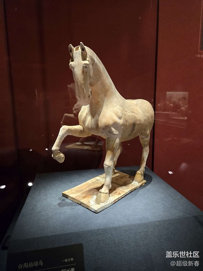 【貞觀鑒線下攝影活動】+線下攝影活動回顧貼