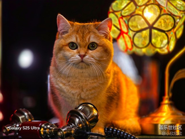 廈門星部落一杯beauty線下攝影活動