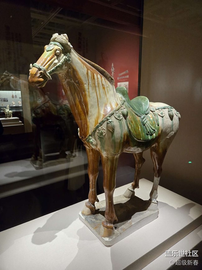 【貞觀鑒線下攝影活動】+線下攝影活動回顧貼