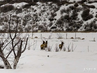 新入手25U，告別23U