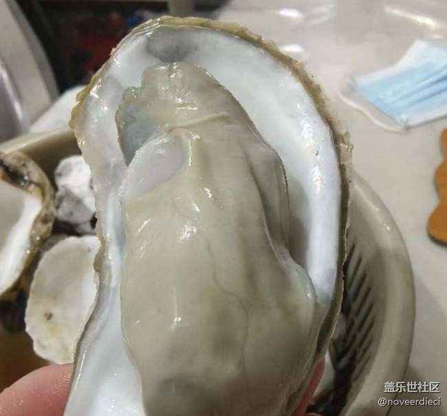 【初春美食記】生蠔