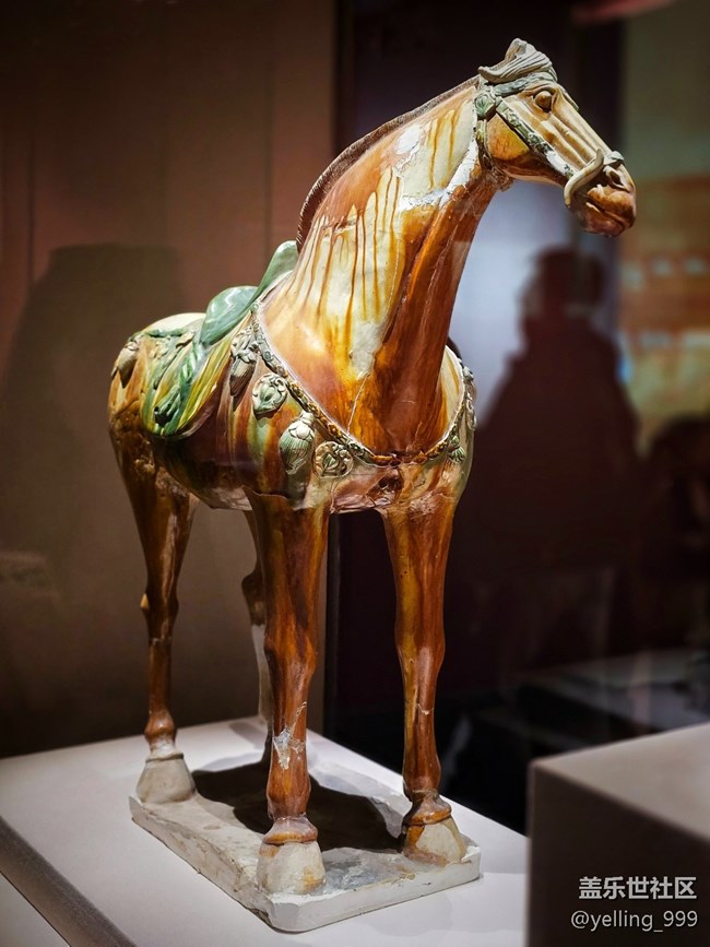 上海星部落3月1日貞觀鑒線下攝影活動回顧帖