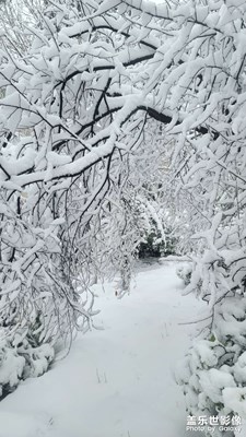 2025年的第一場雪①