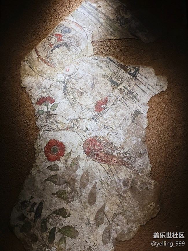 上海星部落3月1日貞觀鑒線下攝影活動回顧帖