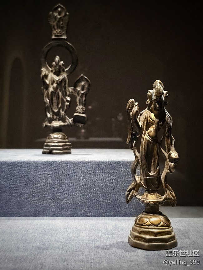 上海星部落3月1日貞觀鑒線下攝影活動回顧帖