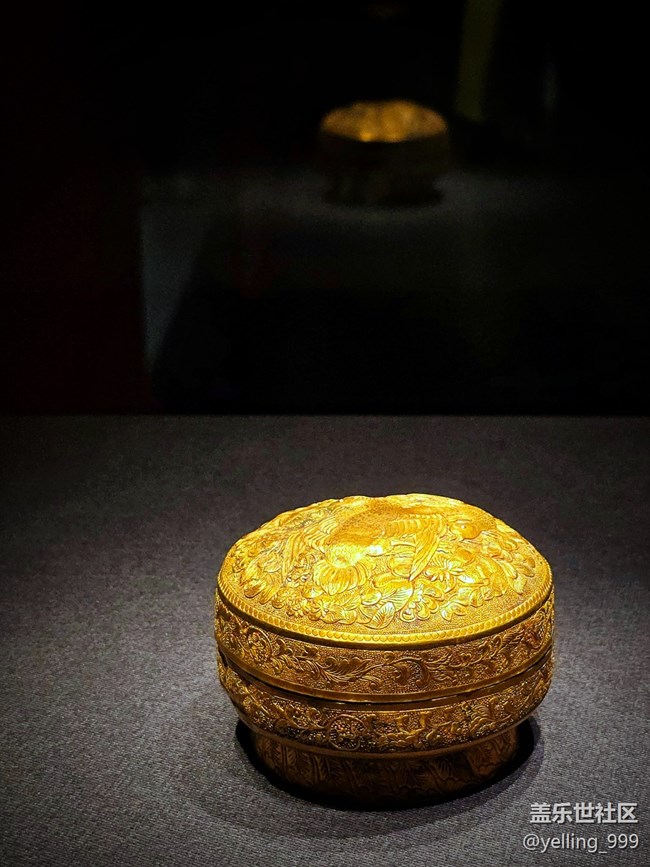 上海星部落3月1日貞觀鑒線下攝影活動回顧帖