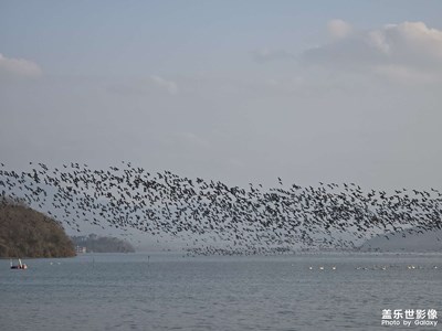 【煦色韶光】湖邊春色