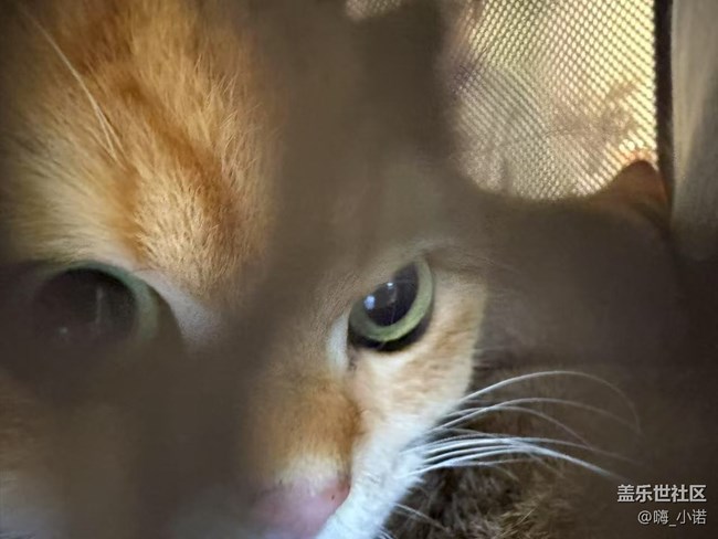 【廈門星部落】廈門星部落一杯beauty線下攝影活動