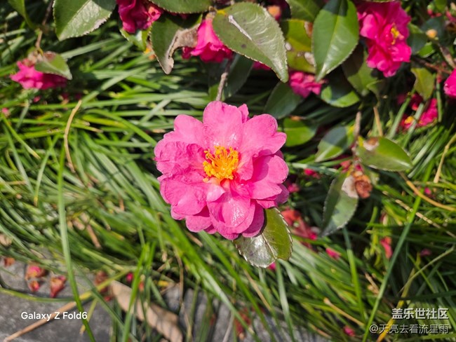 未來已來:Galaxy Z Fold6重新定義智能手機(jī)生產(chǎn)力(續(xù)篇) 未來已來:Galaxy Z Fold6重新定義智能手機(jī)生產(chǎn)力(續(xù)篇)