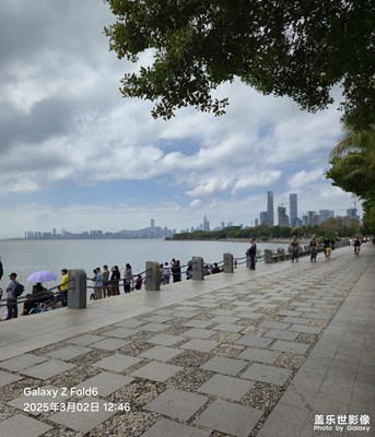【煦色韶光】深圳灣公園獵影