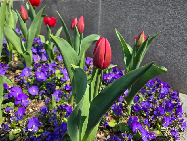 未來已來:Galaxy Z Fold6重新定義智能手機(jī)生產(chǎn)力(續(xù)篇) 未來已來:Galaxy Z Fold6重新定義智能手機(jī)生產(chǎn)力(續(xù)篇)