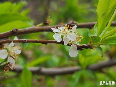 西麗生態(tài)公園