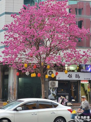 【熙色韶光】+春日色彩