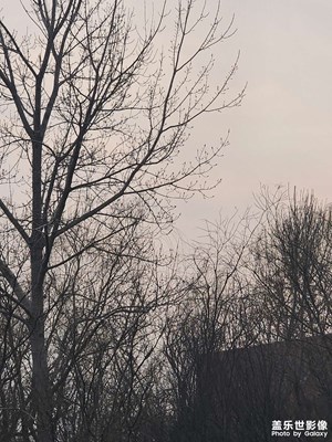 煦色韶光 早春的傍晚