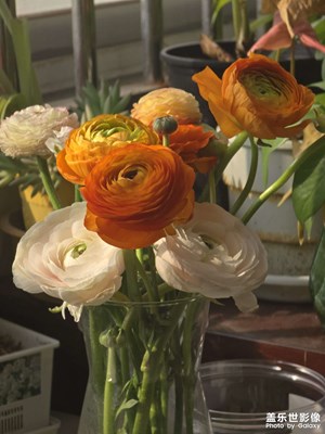 【煦色韶光】+三月