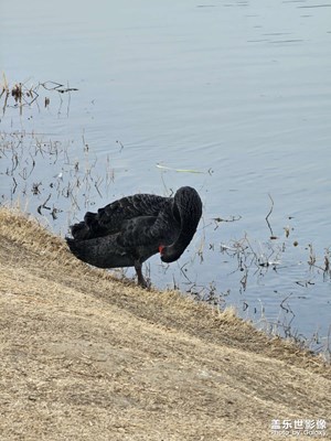 【煦色韶光】春意