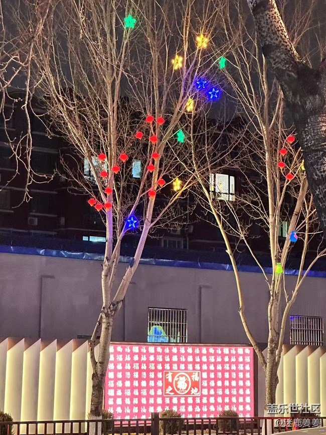 【記錄我的春節(jié)】街邊彩燈年味濃
