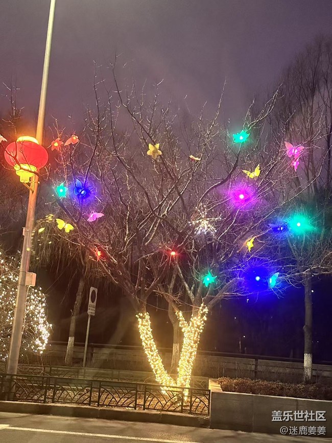 【記錄我的春節(jié)】街邊彩燈年味濃