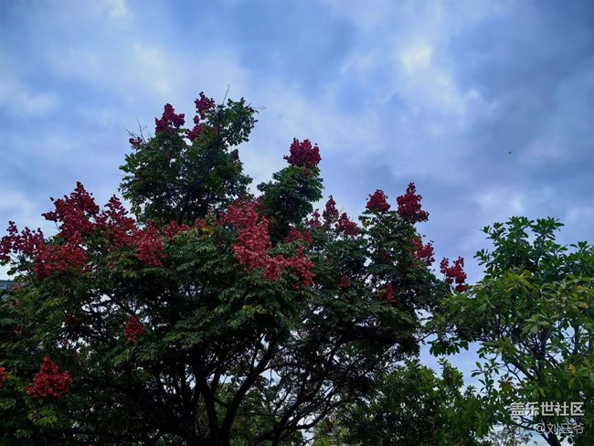 【春花浪漫】+與花相伴，邂逅美好