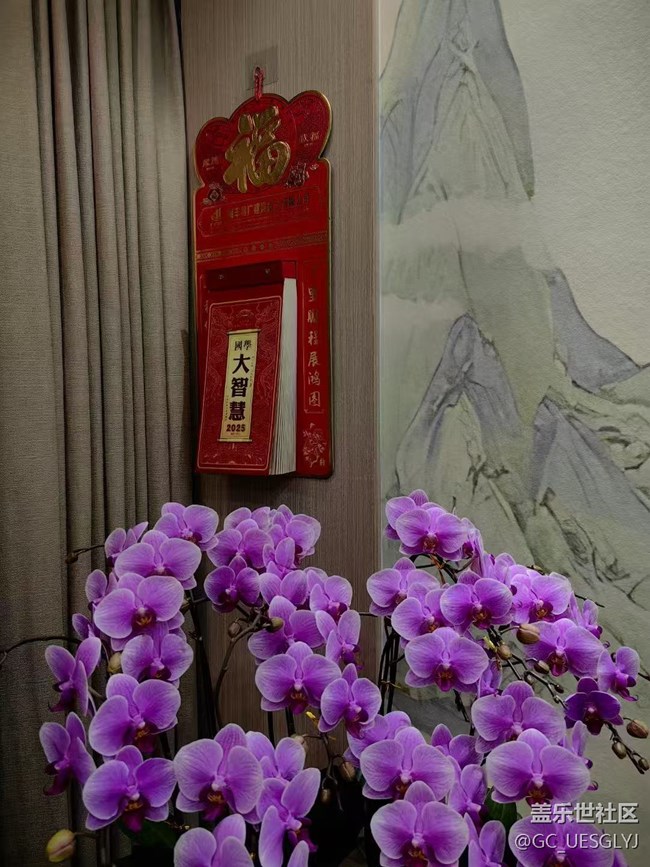 【廣州的花花們】+家中花草，詩意小景