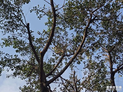 【煦色韶光】+一縷陽光