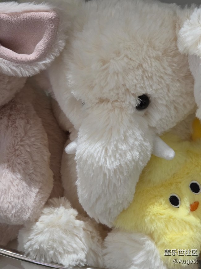 【愛在25】動物