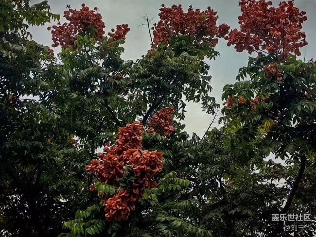 【春花浪漫】+與花相伴，邂逅美好