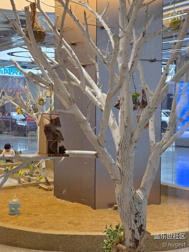 【愛(ài)在25】百特曼