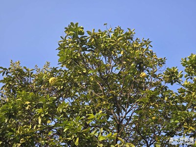 【煦色韶光】+陽光真好