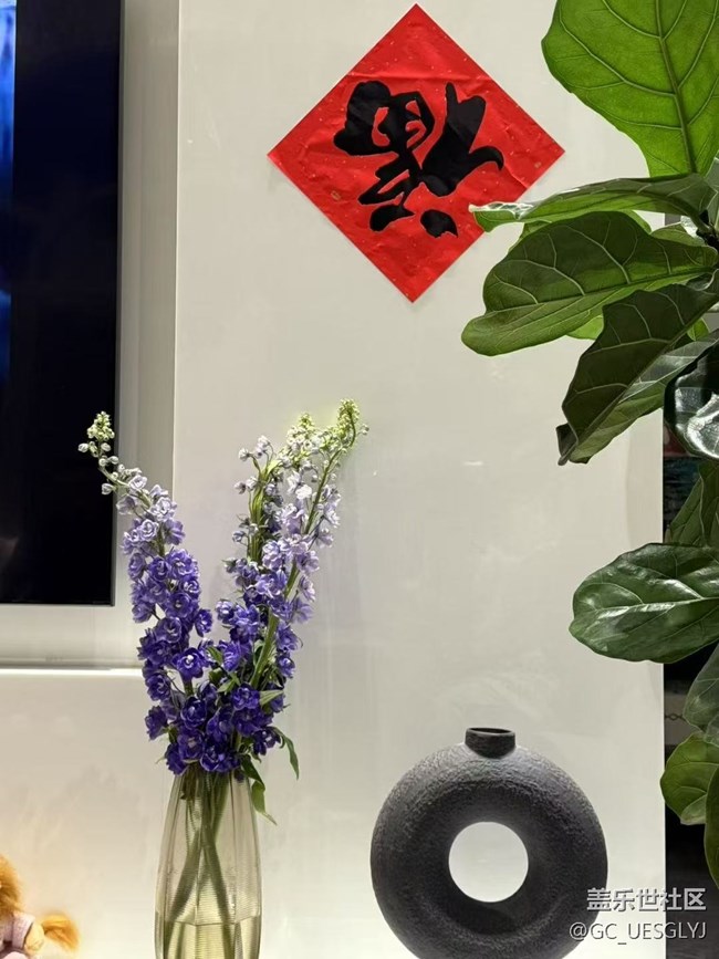 【廣州的花花們】+家中花草，詩意小景