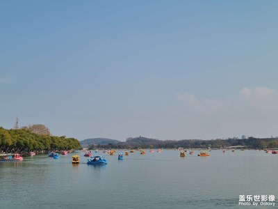 【煦色韶光】+好春光