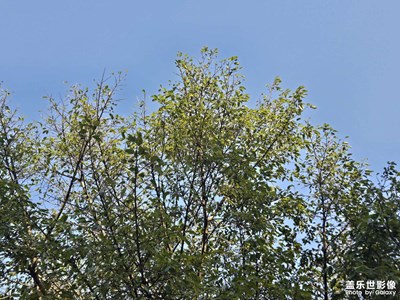 【煦色韶光】+好生活