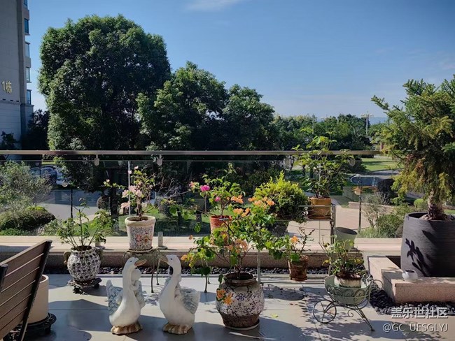 【春花浪漫】+藏在身邊的詩(shī)意角落 【春花浪漫】+藏在身邊的詩(shī)意角落