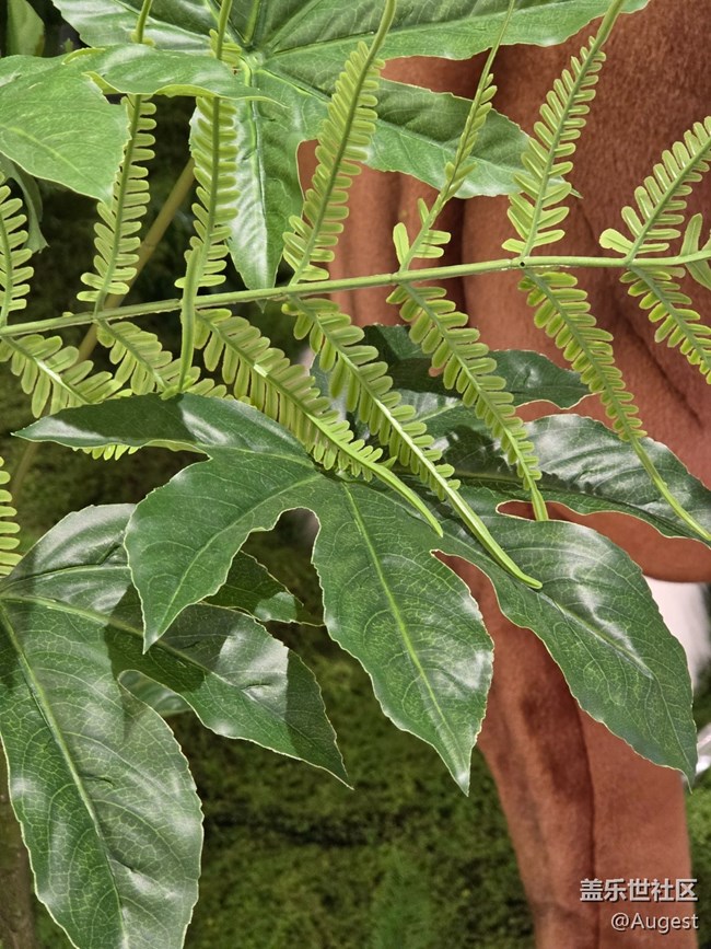 【愛(ài)在25】百特曼