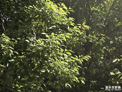 【煦色韶光】+時(shí)光悠悠