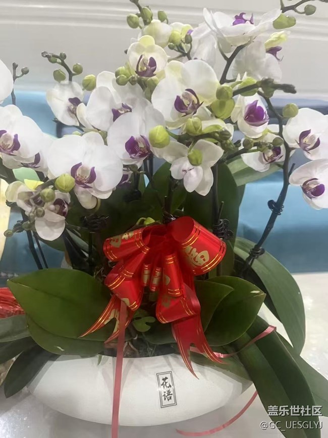 【春花浪漫】+藏在身邊的詩(shī)意角落 【春花浪漫】+藏在身邊的詩(shī)意角落