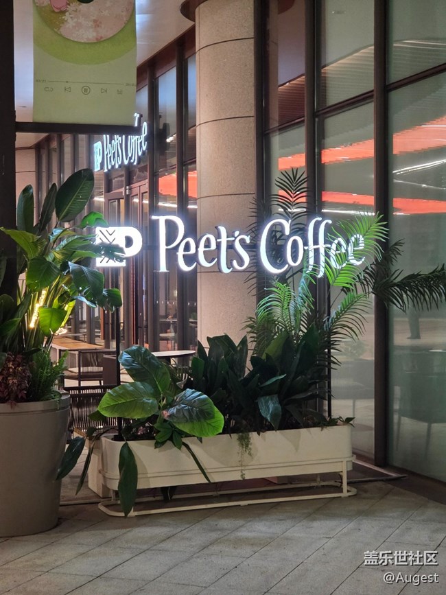 【愛在25】燈牌