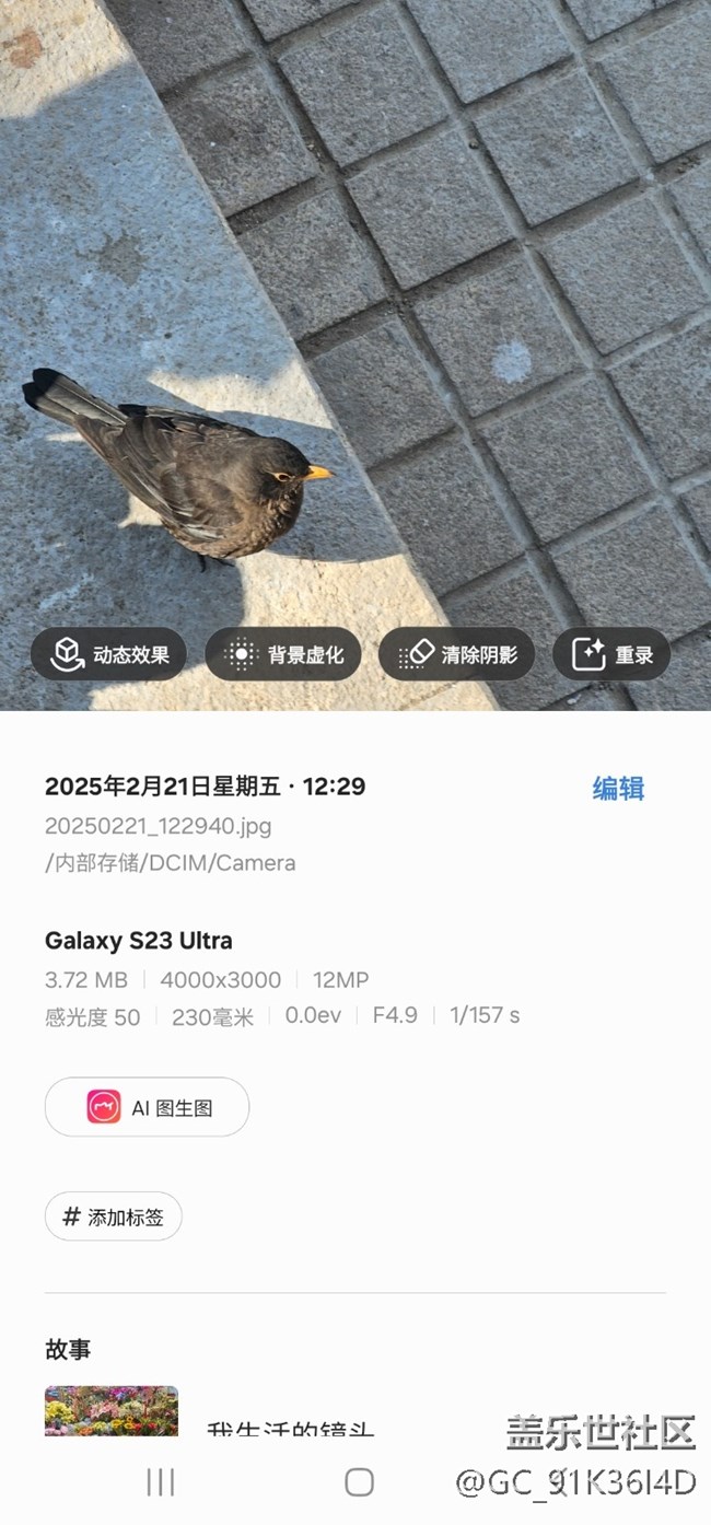 【2月照片核實】二月的公園
