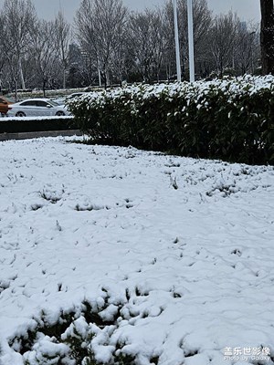 煦色韶光＋瑯琊春雪