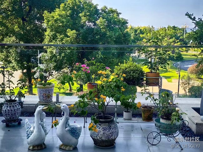 【春花浪漫】+藏在身邊的詩(shī)意角落 【春花浪漫】+藏在身邊的詩(shī)意角落