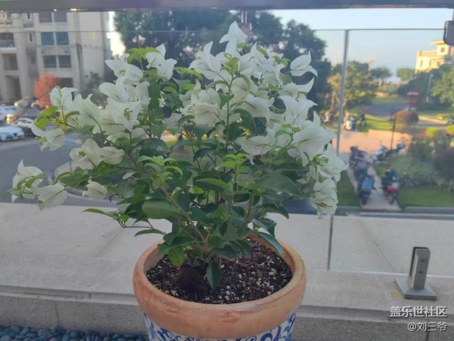 【春花浪漫】+與花相伴，邂逅美好