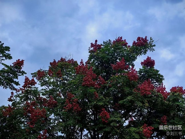 【春花浪漫】+與花相伴，邂逅美好
