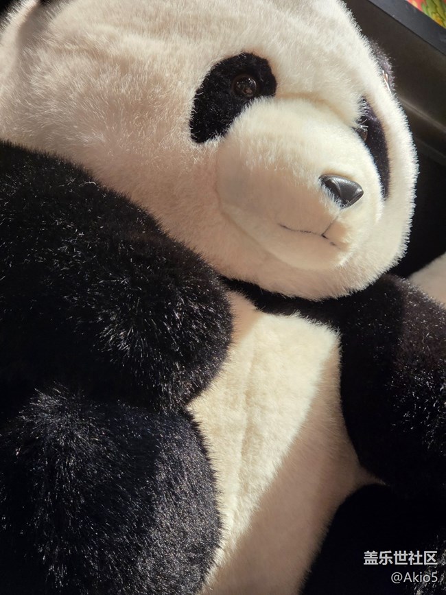 【愛在25】玩具