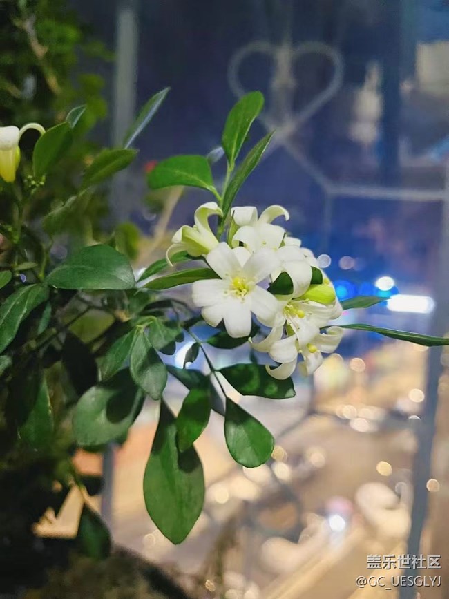 【春花浪漫】+藏在身邊的詩(shī)意角落 【春花浪漫】+藏在身邊的詩(shī)意角落