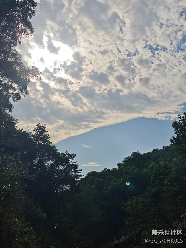 【活動回顧】15公里徒步